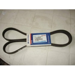 96350327-ПОЛИ-В КИШ, 6PK1725