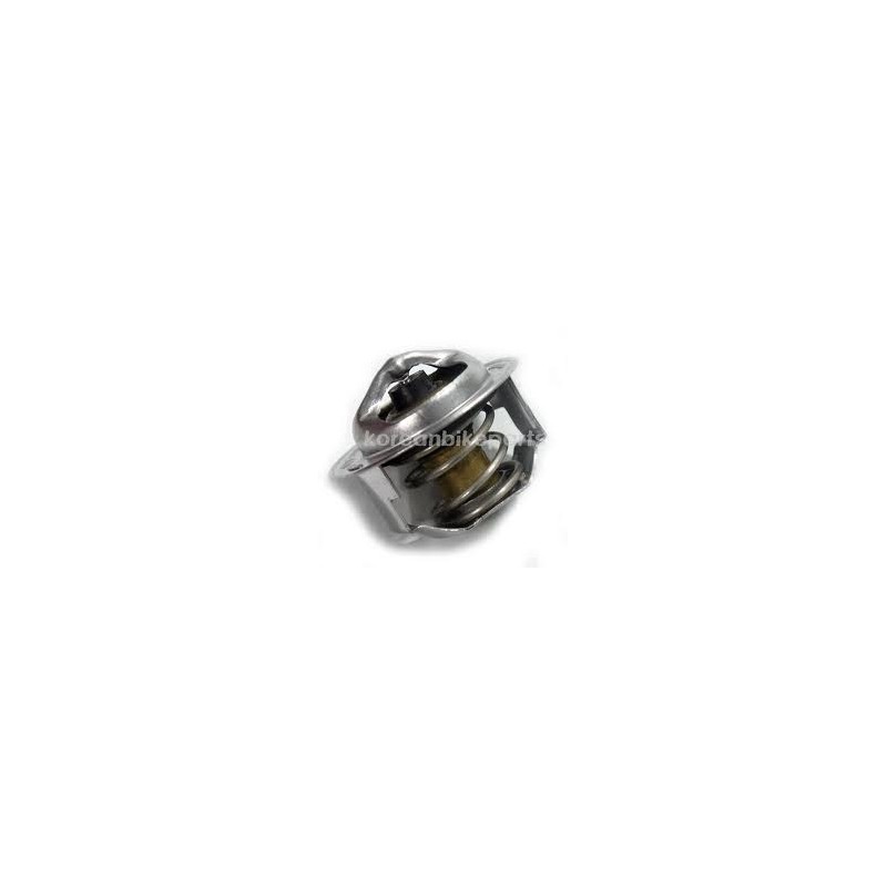 YK0009-TERMOSTAT YK0009-TERMOSTAT