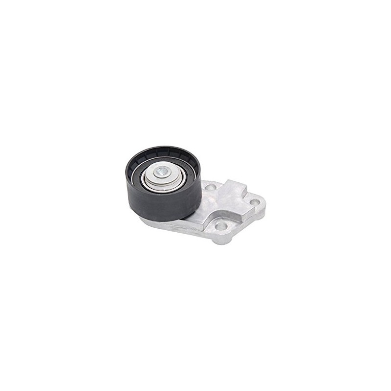 96350550R - TENSIONER,TMG BELT 96350550R - TENSIONER,TMG BELT