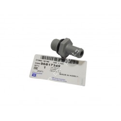 96817349 - PCV - VENTIL /AV(T255)