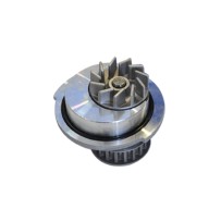 31819 - WATHER PUMP