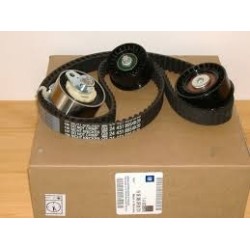 1606306-KIT-BELT, TENSIONER AND IDLER (S)